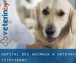 Hôpital des animaux à Vatovavy Fitovinany
