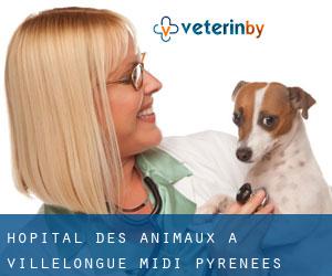Hôpital des animaux à Villelongue (Midi-Pyrénées)