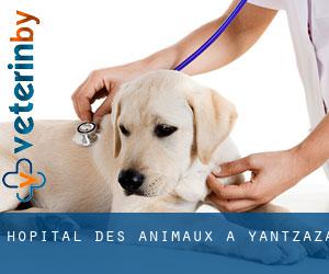 Hôpital des animaux à Yantzaza