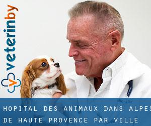 Hôpital des animaux dans Alpes-de-Haute-Provence par ville - page 2