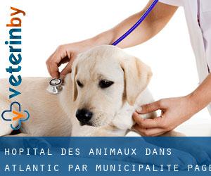 Hôpital des animaux dans Atlantic par municipalité - page 1