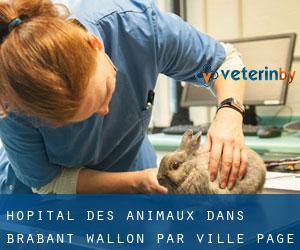 Hôpital des animaux dans Brabant Wallon par ville - page 1