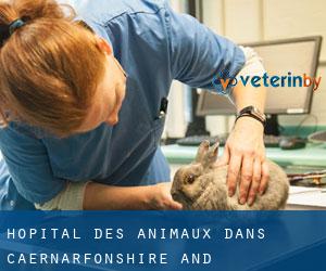 Hôpital des animaux dans Caernarfonshire and Merionethshire par ville - page 1