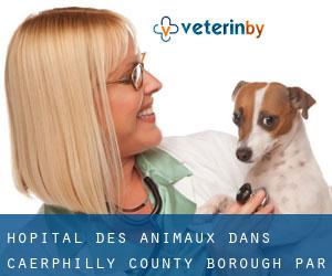 Hôpital des animaux dans Caerphilly (County Borough) par ville - page 1