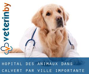 Hôpital des animaux dans Calvert par ville importante - page 8