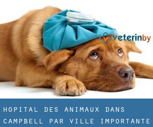Hôpital des animaux dans Campbell par ville importante - page 2
