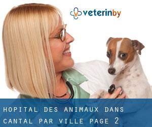 Hôpital des animaux dans Cantal par ville - page 2