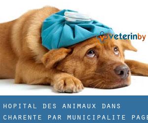 Hôpital des animaux dans Charente par municipalité - page 1