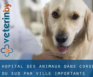 Hôpital des animaux dans Corse-du-Sud par ville importante - page 1