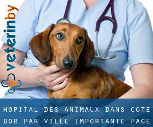Hôpital des animaux dans Côte-d'Or par ville importante - page 4