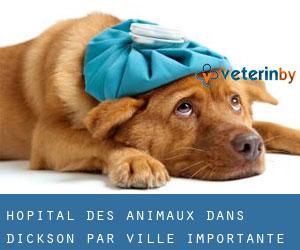 Hôpital des animaux dans Dickson par ville importante - page 1