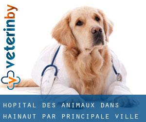 Hôpital des animaux dans Hainaut par principale ville - page 1