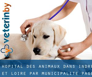 Hôpital des animaux dans Indre-et-Loire par municipalité - page 12