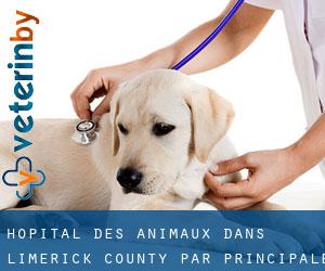 Hôpital des animaux dans Limerick County par principale ville - page 1