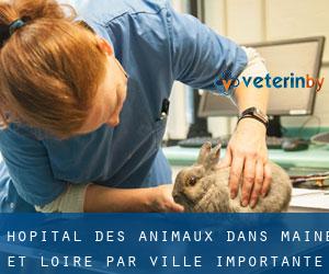 Hôpital des animaux dans Maine-et-Loire par ville importante - page 4