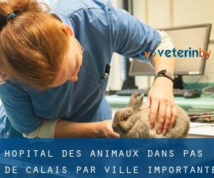 Hôpital des animaux dans Pas-de-Calais par ville importante - page 1