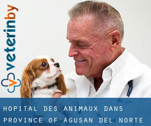 Hôpital des animaux dans Province of Agusan del Norte par ville importante - page 1