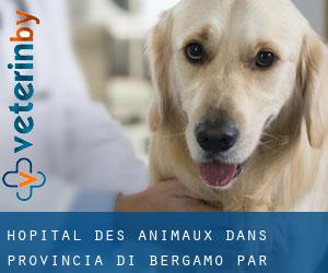 Hôpital des animaux dans Provincia di Bergamo par municipalité - page 1