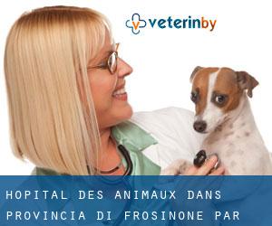 Hôpital des animaux dans Provincia di Frosinone par municipalité - page 1