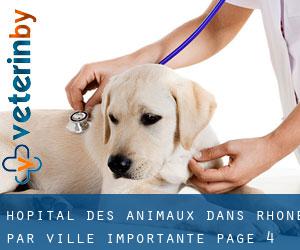 Hôpital des animaux dans Rhône par ville importante - page 4