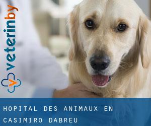 Hôpital des animaux en Casimiro d'Abreu
