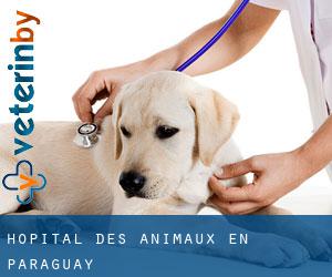 Hôpital des animaux en Paraguay