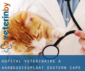 Hôpital vétérinaire à Aarbossiesplaat (Eastern Cape)