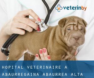 Hôpital vétérinaire à Abaurregaina / Abaurrea Alta