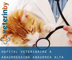 Hôpital vétérinaire à Abaurregaina / Abaurrea Alta