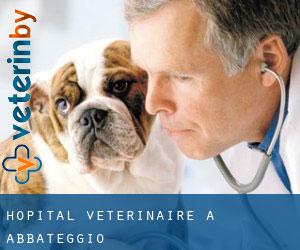 Hôpital vétérinaire à Abbateggio