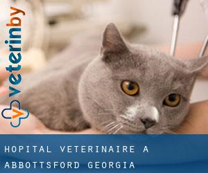 Hôpital vétérinaire à Abbottsford (Georgia)
