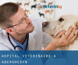 Hôpital vétérinaire à Abergwesyn