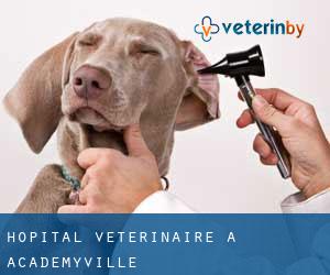 Hôpital vétérinaire à Academyville