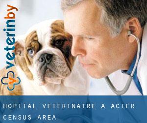 Hôpital vétérinaire à Acier (census area)