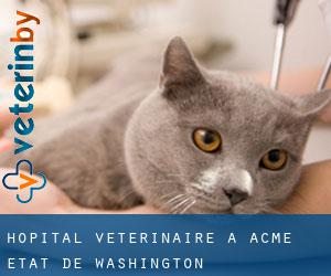 Hôpital vétérinaire à Acme (État de Washington)