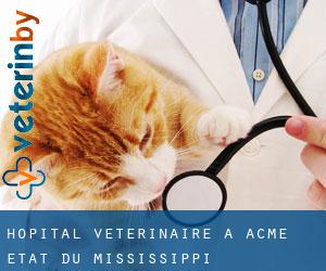 Hôpital vétérinaire à Acme (État du Mississippi)