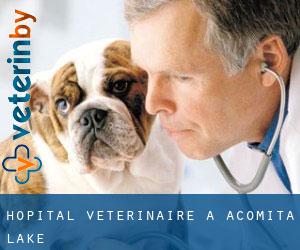 Hôpital vétérinaire à Acomita Lake
