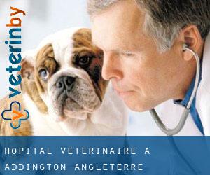 Hôpital vétérinaire à Addington (Angleterre)