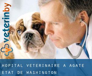 Hôpital vétérinaire à Agate (État de Washington)