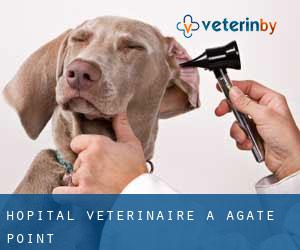 Hôpital vétérinaire à Agate Point
