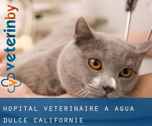 Hôpital vétérinaire à Agua Dulce (Californie)