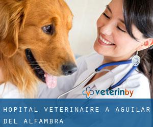 Hôpital vétérinaire à Aguilar del Alfambra