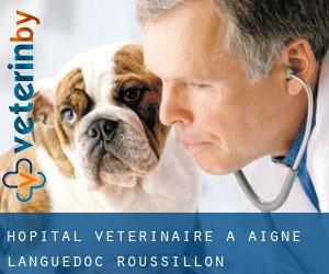 Hôpital vétérinaire à Aigne (Languedoc-Roussillon)