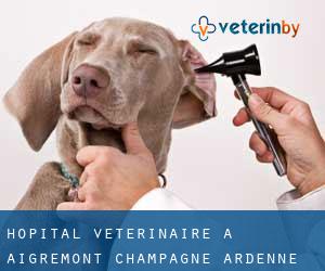 Hôpital vétérinaire à Aigremont (Champagne-Ardenne)