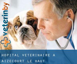Hôpital vétérinaire à Aizecourt-le-Haut