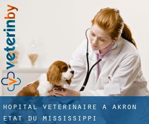 Hôpital vétérinaire à Akron (État du Mississippi)
