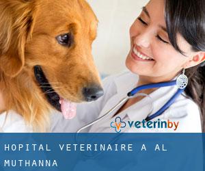 Hôpital vétérinaire à Al Muthanná Hôpital vétérinaire à Al Muthanná