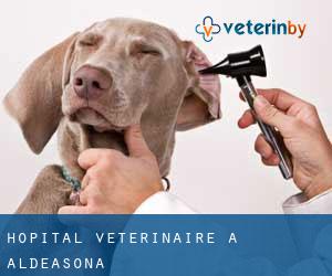 Hôpital vétérinaire à Aldeasoña