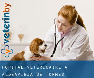 Hôpital vétérinaire à Aldeavieja de Tormes