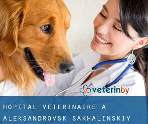 Hôpital vétérinaire à Aleksandrovsk-Sakhalinskiy